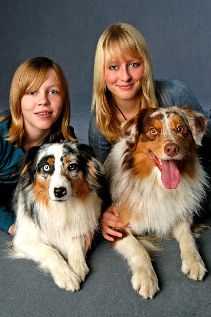 Zwei Mädchen mit zwei Australian Shepherds im Studio